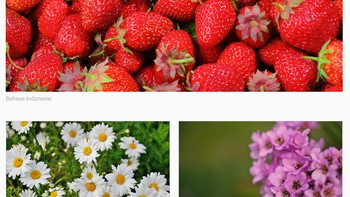 Teka-teki visual ketujuh. Foto: (Bored Panda).