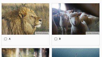 Teka-teki visual kedua. Foto: (Bored Panda).