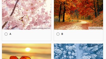 Teka-teki visual ke-15. Foto: (Bored Panda).