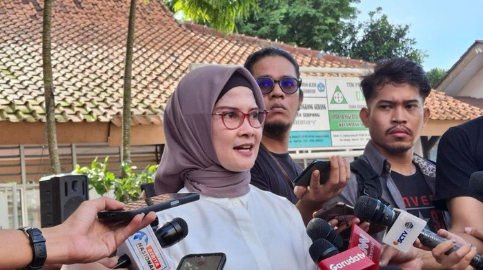 Juru Bicara Kantor Komunikasi Kepresidenan Adita Irawati (Taufiq/detikcom)