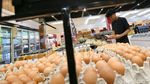 Kinerja Penjualan Eceran Naik Akhir Tahun Lalu