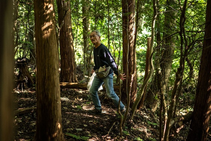 Masana Izawa menemukan tempat untuk buang air besar di hutan