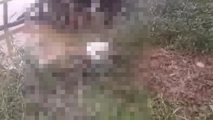 Mayat pria tanpa identitas ditemukan di pinggir Sungai Batanghari, Kota Jambi