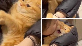 Duh, gendongnya yang bener dong bu. Foto: Boredpanda  