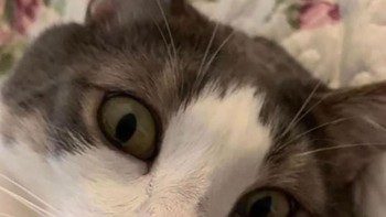 Kirim PAP dulu ke ayang. Foto: Boredpanda  