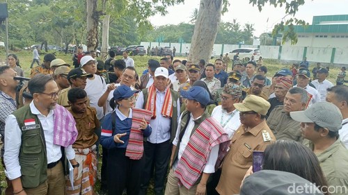 Menteri Kehutanan Raja Juli Antoni, serta Wakil Menteri Pendidikan Tinggi, Sains, dan Teknologi, Stella Christie, saat meninjau lokasi pembangunan SMA Garuda di Soe, Timor Tengah Selatan, NTT, Senin (13/1/2025).