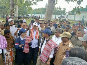 Kemenhut Alokasikan 20 Hektare Kawasan Hutan untuk SMA Garuda di NTT