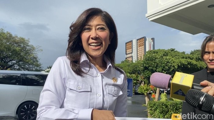 Meutya Hafid. (Firda Cynthia/detikcom).