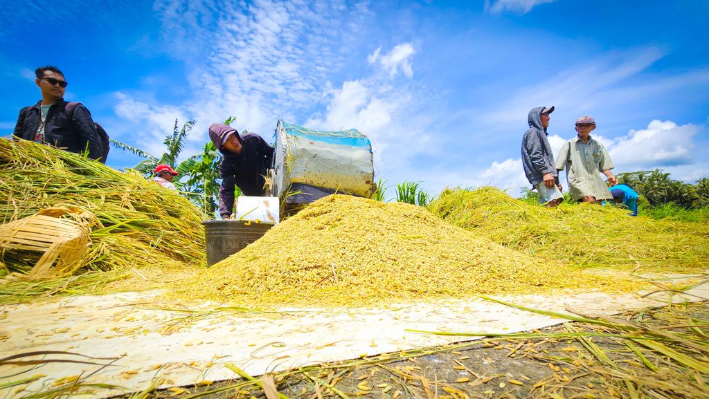 Panen Gabah di Kulonprogo, Yogyakarta. (Dok. Kementan)