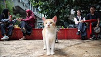 Setelah direvitalisasi mulai 21 Oktober 2021 dan dibuka kembali pada 18 September 2022, taman ini dilengkapi dengan fasilitas, tugu, kolam besar, air mancur, plaza anak, area amphitheater, healing garden, kedai kopi, ruang baca dan diskusi, toko buku, ruang literasi anak, hingga fasilitas penunjang seperti musala dan toilet.  