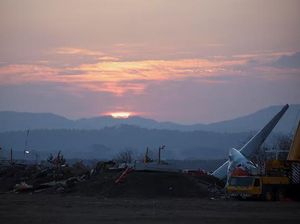 Bandara Korsel Pasang Radar Pendeteksi Burung Buntut Tragedi Jeju Air