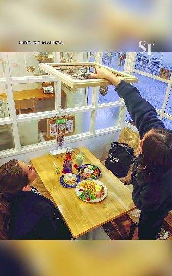 Rekam Momen Makan dari Atas Kepala jadi Tren di Jepang