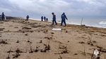 Rusia Berupaya Atasi Tumpahan Minyak di Laut Hitam yang Makin Darurat