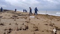 Menurut Andrei Pavlyuchenko, pejabat kementerian darurat di Krimea, tujuh lokasi pencemaran baru ditemukan di sepanjang garis pantai empat distrik di Krimea, serta di Pulau Tuzla, dekat Jembatan Krimea yang menghubungkan Rusia dengan Semenanjung Laut Hitam.   