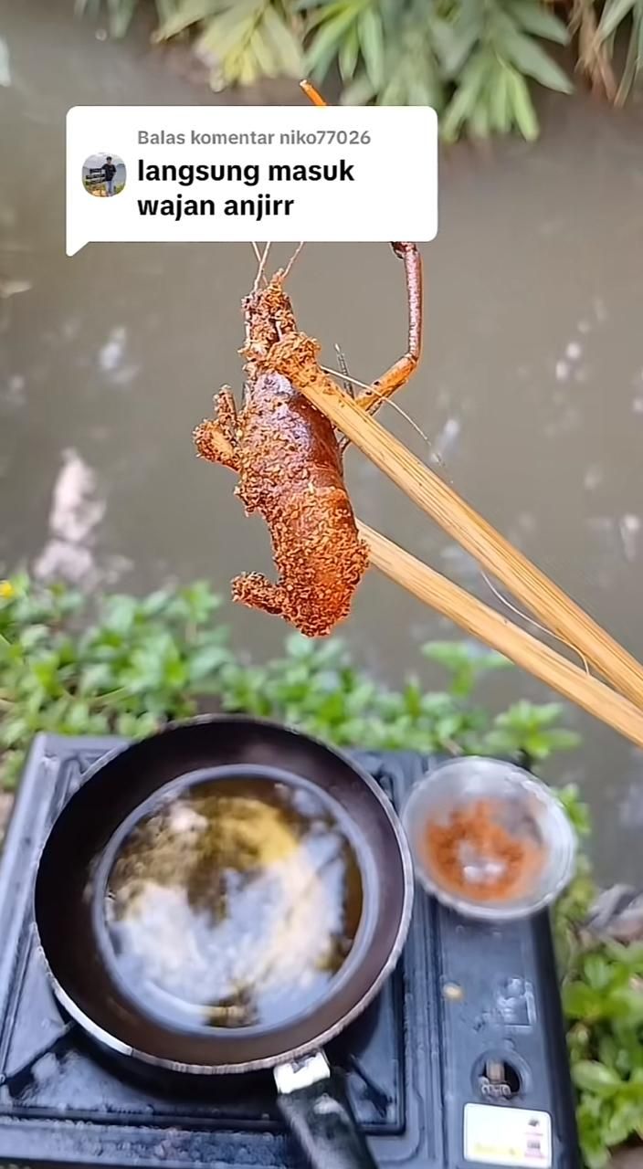 Tak Sabar! 5 Orang Ini Mancing Ikan dan Cumi Langsung Dimasak