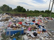 Warga Ngeluh Sampah di Pekanbaru Tak Diangkut: Bau Busuk!