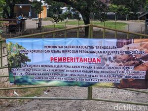 7 Pasar Hewan di Trenggalek Ditutup Imbas Meledaknya Wabah PMK