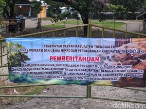 7 Pasar Hewan di Trenggalek Ditutup Imbas Meledaknya Wabah PMK