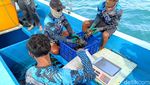 Budidaya Ikan Kerapu Keramba di Pulau Gili Ketapang Probolinggo