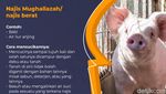 Macam-Macam Najis dan Cara Mensucikannya