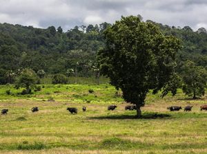 5 Destinasi Romantis di Banyuwangi dengan View Menakjubkan untuk Valentine