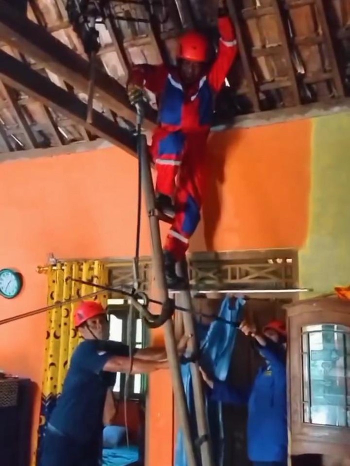 Petugas saat mengevakuasi ular kayu yang berkeliaran di atap rumah warga.