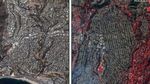 Penampakan Foto Satelit Kota Los Angeles Sebelum dan Sesudah Kebakaran