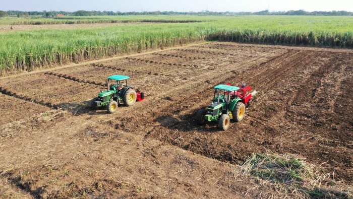 ID Food Siapkan Aset Lahan dan Bangunan untuk Swasembada Pangan