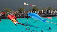 Dikutip dari situs National Today, Hari Layang-Layang Internasional berasal dari India dan paling populer dirayakan di kota Ahmedabad, bagian utara Gujarat. Dalam bahasa Hindi, festival ini dikenal sebagai Uttarayan, sementara di wilayah lain di India, dikenal sebagai Makar Sankranti.