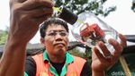 Keren! Kerajinan Bernilai Seni Tinggi Ini dari Barang Bekas