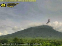 1.817,36 Ha Hutan Terbakar gegara Erupsi Gunung Lewotobi
