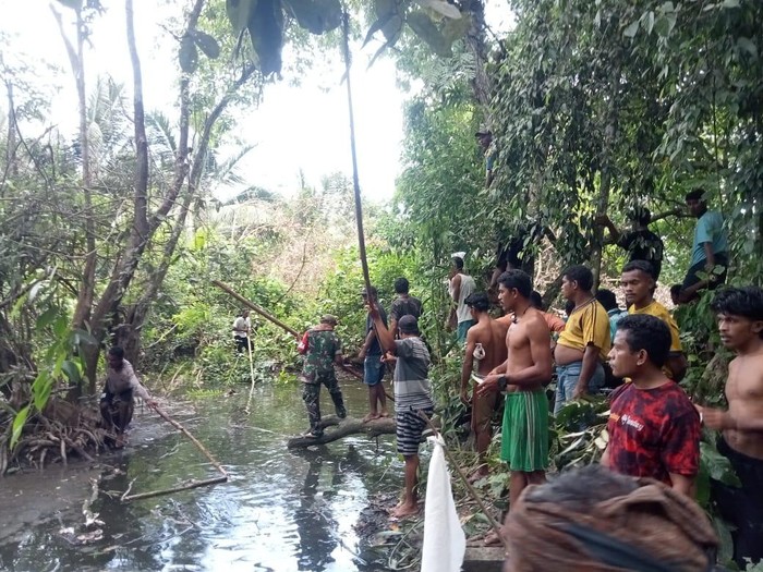Buaya yang menerkam bocah bernama Fardan Nustelu (7) hingga tewas di Kabupaten Buru, Maluku, ditangkap warga.