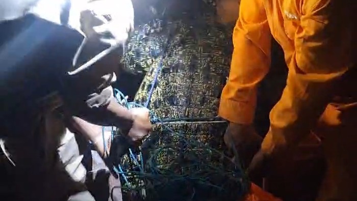 Salah satu buaya yang berhasil kembali dievakuasi usai lepas dari penangkaran di Batam