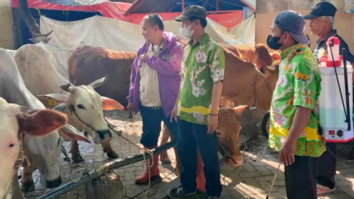 Pengecekan pasar hewam di Pasuruan imbas wabah PMK yang meluas