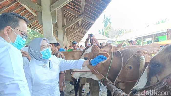 Pj Gubernur Jatim Cek Aktivitas Pasar Hewan Wonoasih Probolinggo