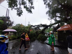 Bencana di Tabanan Awal Tahun, Pemkab Alokasikan Rp 5 Miliar untuk Penanganan