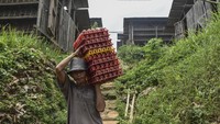 Koperasi Produsen Peternak Ayam Petelur Ciamis (P2APC) mencatat jumlah populasi ayam petelur di Ciamis sebanyak 10 ribu ekor dengan produksi telur mencapai 15 ton per hari.  