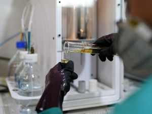 Kalah Lawan RI di WTO, UE Ajukan Banding soal Sengketa Biodiesel