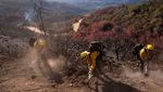 Potret Petugas Damkar Meksiko Bantu Tangani Kebakaran Hutan Los Angeles