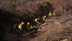 Potret Petugas Damkar Meksiko Bantu Tangani Kebakaran Hutan Los Angeles