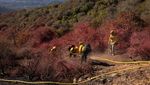 Potret Petugas Damkar Meksiko Bantu Tangani Kebakaran Hutan Los Angeles