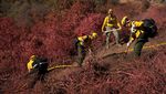 Potret Petugas Damkar Meksiko Bantu Tangani Kebakaran Hutan Los Angeles