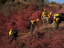 Potret Petugas Damkar Meksiko Bantu Tangani Kebakaran Hutan Los Angeles