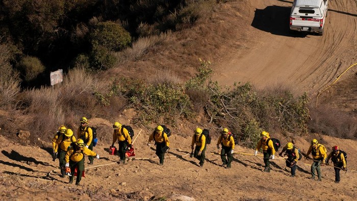 Potret Petugas Damkar Meksiko Bantu Tangani Kebakaran Hutan Los Angeles Firefighters from Mexico hike to their destination to cut a containment line in the Tarzana area during the Palisades Fire in Los Angeles, California, U.S. January 13, 2025. REUTERS/David Ryder