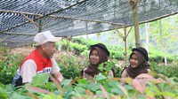 Mefredi menambahkan upaya ini berkontribusi terhadap agenda internasional Sustainable Development Goals (SDGs) tujuan 13 Penanganan Perubahan Iklim, tujuan 15 Menjaga Ekosistem Darat, tujuan 8 Pekerjaan Layak dan Pertumbuhan Ekonomi, tujuan 16 Perdamaian, Keadilan dan Kelembagaan yang Kuat, dan tujuan 17 Kemitraan Untuk Mencapai Tujuan.  