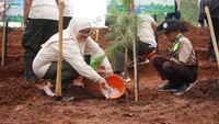 Sr Manager Relations Regional 4 Fitri Erika mengatakan penanaman pohon di Cianjur merupakan penanaman dalam jumlah besar kedua setelah sebelumnya PEPC JTB menanam 180 ribu pohon di atas lahan seluas 165 hektar di Desa Ngadirengo, Kecamatan Wingi, Kabupaten Blitar, Jawa Timur tahun 2024. Dalam waktu dekat, penanaman juga kembali dilaksanakan di Kabupaten Sorong, Papua Barat dimana akan dilaksanakan aksi penanaman pohon seluas 130 hektar. PEPC yang bertugas mengelola Regional Indonesia Timur sepanjang 2024 telah melakukan penanaman pohon sebanyak 225.966 pohon dengan potensi serapan karbon 2.794 Co2eq.  