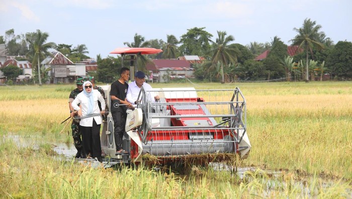 Wamentan Sudaryono saat panen raya di Ogan Ilir.