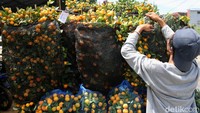 Jeruk Kim Kit menjadi lambang keharmonisan antara hubungan keluarga dan kerabat. Maka tak heran jeruk ini disebut jeruk keberuntungan.