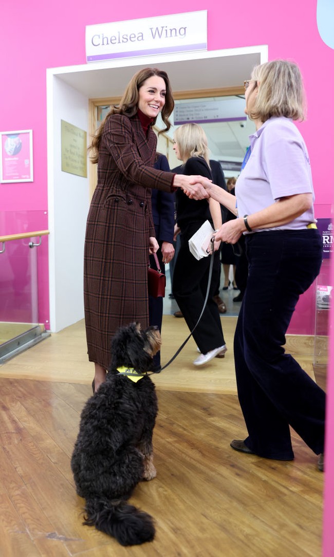 Kabar tersebut diungkapkan Kate secara tertutup dengan pihak rumah sakit. Foto: Getty Images/Chris Jackson