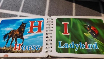 Ketika sudah bingung mau cari hewan apa yang depannya I. Foto: pouldycheed bia Bored Panda